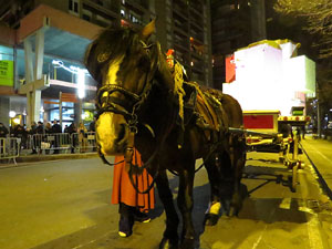 La Cavalcada de Reis 2020. Desfilada pels carrers de la ciutat, fins la pla&ccedil;a del Vi