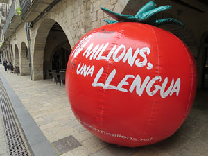 Activitats de la campanya 'Som 10 milions, som una llengua' a la pla&ccedil;a del Vi de Girona