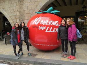 Activitats de la campanya 'Som 10 milions, som una llengua' a la pla&ccedil;a del Vi de Girona