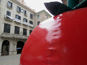 Activitats de la campanya 'Som 10 milions, som una llengua' a la pla&ccedil;a del Vi de Girona