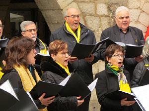 Activitats de la campanya 'Som 10 milions, som una llengua' a la pla&ccedil;a del Vi de Girona