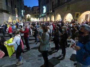 Concentraci&oacute; contra el 155 davant la subdelegaci&oacute; dels govern espanyol a la Gran Via de Jaume I