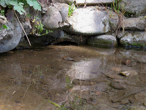 La teula de la font de la Teula