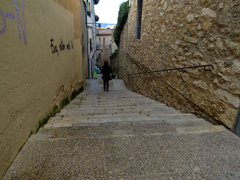 Escales del carrer de la Llebre des de la part alta