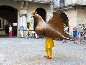 La Flama del Canig&oacute; 2020 a la pla&ccedil;a del Vi
