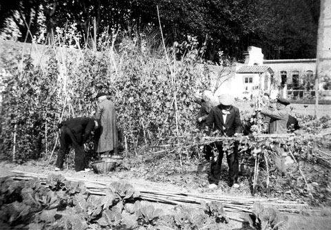 Avis treballant l'hort de l'Asil de les Germanetes dels Pobres. 1920-1930