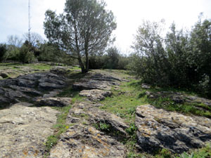 Itinerari de la pedra de Girona. La Torre d'Alfons XII i la Ferradura