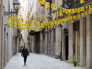 Imatges d'activitats 1-O. Material divers 2017