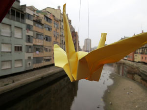 Imatges d'activitats 1-O. Material divers 2017