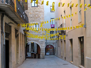 Imatges d'activitats 1-O. Material divers 2017