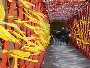 Imatges d'activitats 1-O. Material divers 2017