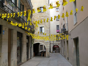 Imatges d'activitats 1-O. Material divers 2017