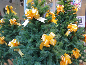 Imatges d'activitats 1-O. Material divers 2017