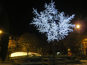 Nadal 2020. La decoraci&oacute; nadalenca dels carrers