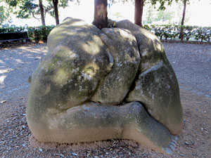 Naixement de la vida - arbre, de Xicu Cabanyes