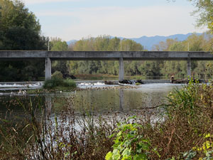 Ponts de Girona. La passera de Fontajau