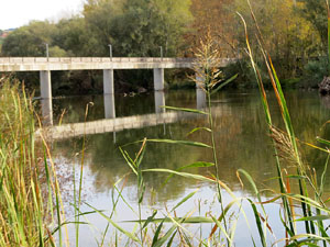 Ponts de Girona. La passera de Fontajau