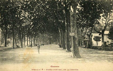Passeig central de la Devesa. A la dreta, davant l'entrada als Jardins, s'hi observa el quiosc de begudes. 1906-1918