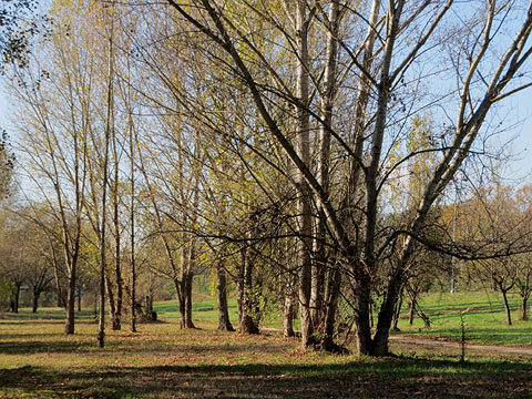El Parc de les Ribes del Ter