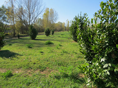 El Parc de les Ribes del Ter