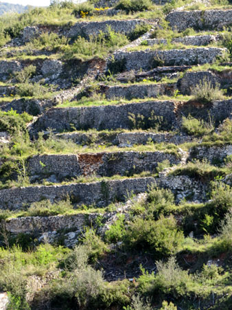 Feixes de pedra seca a la muntanya de la O