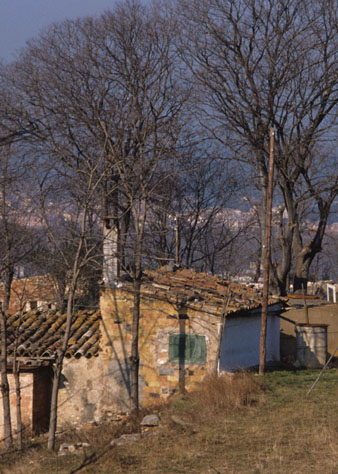 Cases de Torre Gironella. 1989