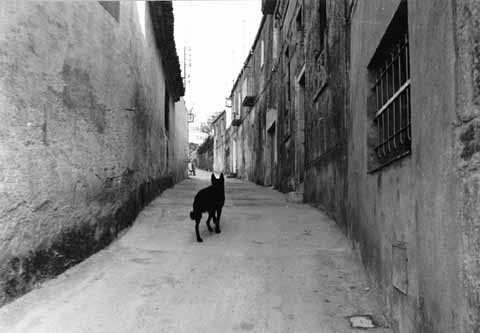 Carrer del barri de Torre Gironella. 1973