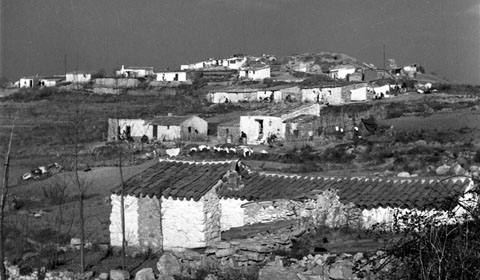 Les barraques de les Pedreres. 1959