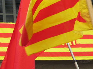 Diada Nacional 2021. Concentraci&oacute; a la pla&ccedil;a del Vi, lectura del manifest i cant de Els Segadors