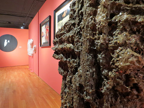 Detall d'un dels &agrave;mbits de l'exposici&oacute;