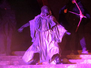 Fires de Sant Narc&iacute;s 2021. Drakofarra amb Fal&middot;lera Gironina