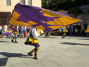 Fires de Sant Narc&iacute;s 2021. Toc de rams. Cerim&ograve;nia del canvi de rams de les gegantes