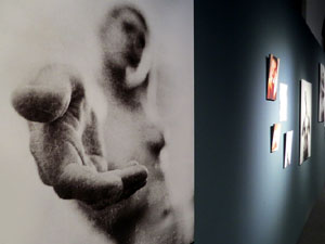 Exposicions i instal&middot;lacions a la planta baixa de la Casa de Cultura