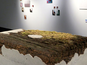 Exposicions i instal&middot;lacions a la planta baixa de la Casa de Cultura