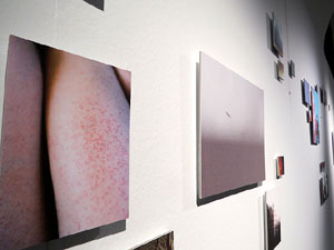 Exposicions i instal&middot;lacions a la planta baixa de la Casa de Cultura