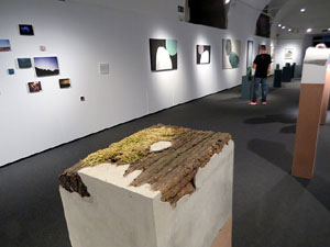 Exposicions i instal&middot;lacions a la planta baixa de la Casa de Cultura