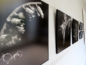 Exposicions, instal&middot;lacions i performances al Centre Cultural la Merc&egrave;