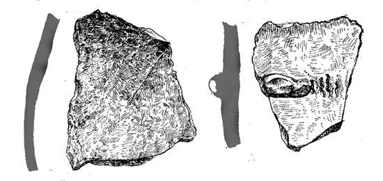 Fragments ceràmics localitzats al jaciment de Montilivi