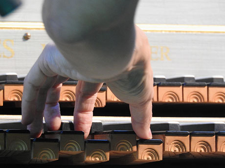 Festival Notes al parc. Laia Frigol&eacute; i Eva del Campo