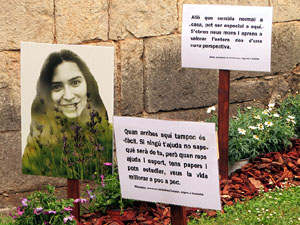 Temps de Flors 2021. Absis de Sant Pere de Galligants