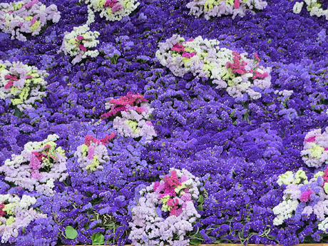 Temps de Flors 2021. Passeig Arqueol&ograve;gic. Davant les Sarra&iuml;nes