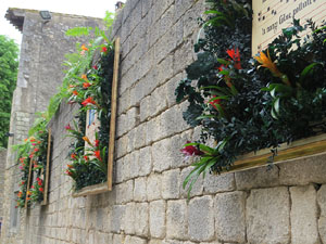 Temps de Flors 2021. Els Banys &Agrave;rabs