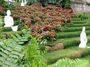 Temps de Flors 2021. Escales de la Catedral