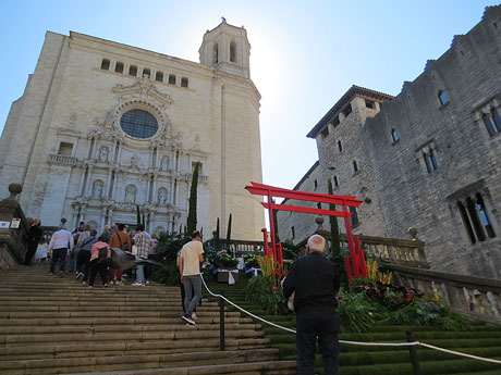 Temps de Flors 2021. Escales de la Catedral