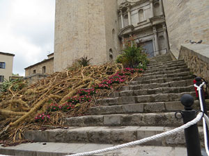 Temps de Flors 2021. Escales de la bas&iacute;lica de Sant Feliu