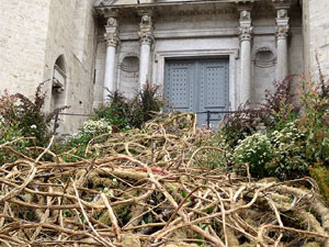 Temps de Flors 2021. Escales de la bas&iacute;lica de Sant Feliu