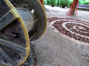 Temps de Flors 2021. Els Jardins del doctor Figueras