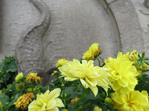 Temps de Flors 2021. Font de Mossèn Cinto