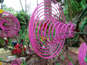 Temps de Flors 2021. Els Jardins de la Francesa