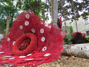 Temps de Flors 2021. Els Jardins de la Francesa